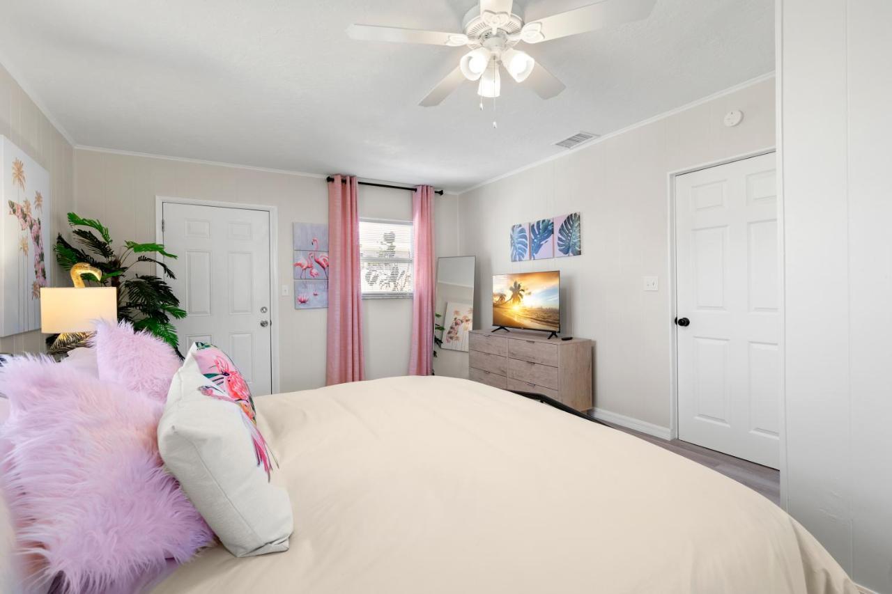 Haus Of Tropicale - Close To Gulf Beaches And Downtown St. Petersburg Exteriér fotografie